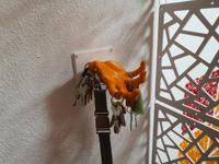 2022-03-04 helping hand.jpg